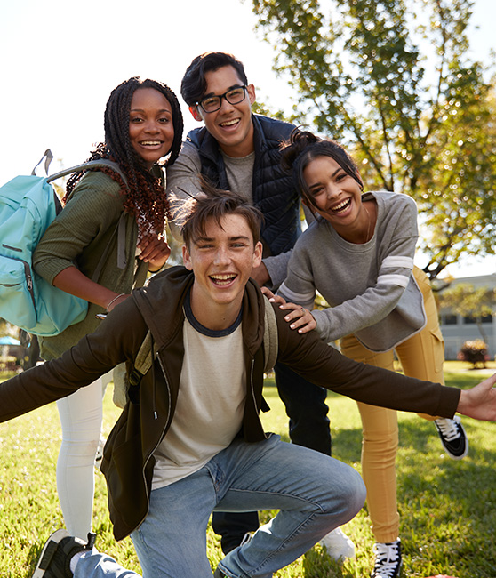 college board view ap scores